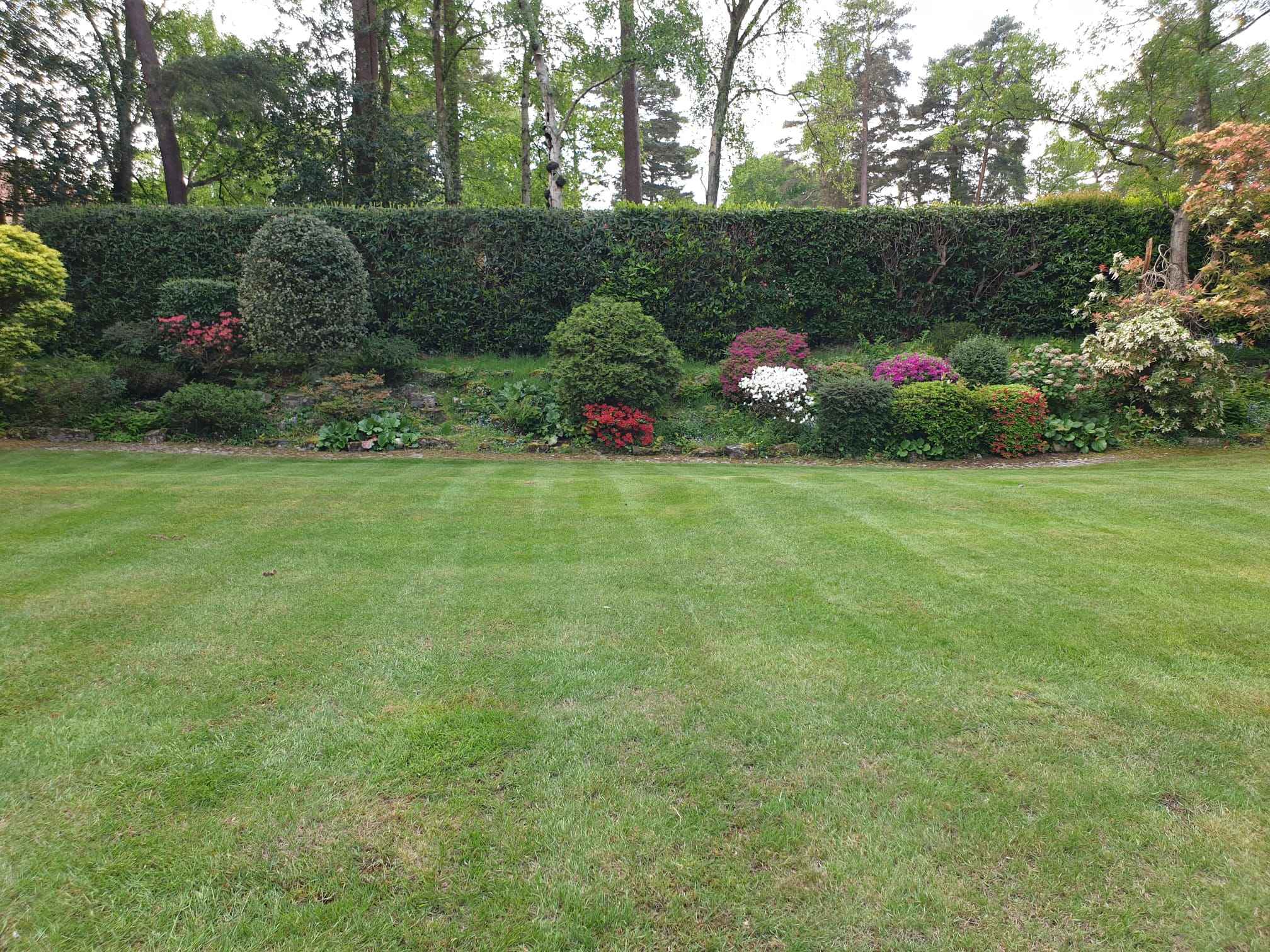 Freshly Cut Lawn & Hedge