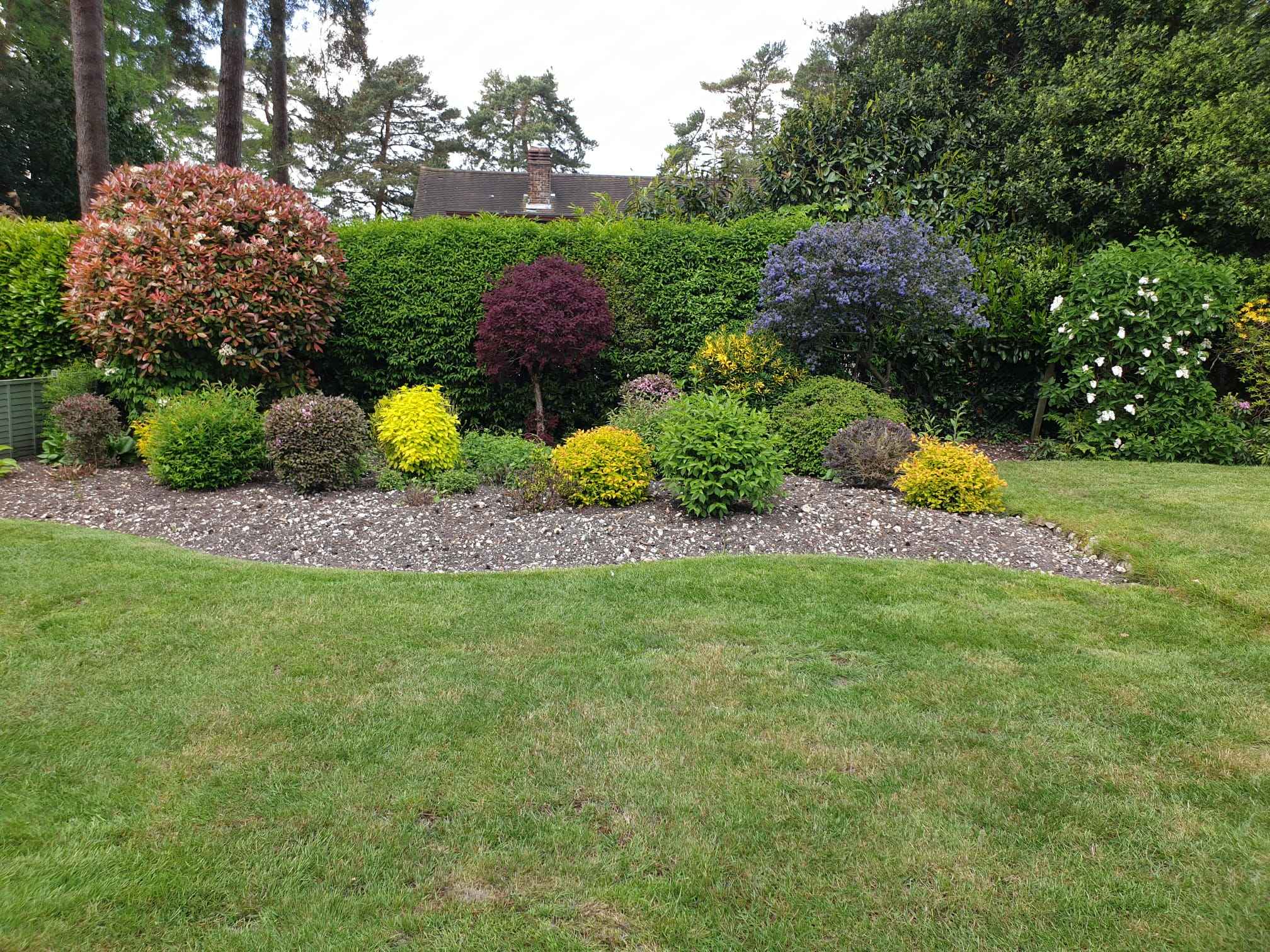 Freshly Cut Lawn & Hedge 2